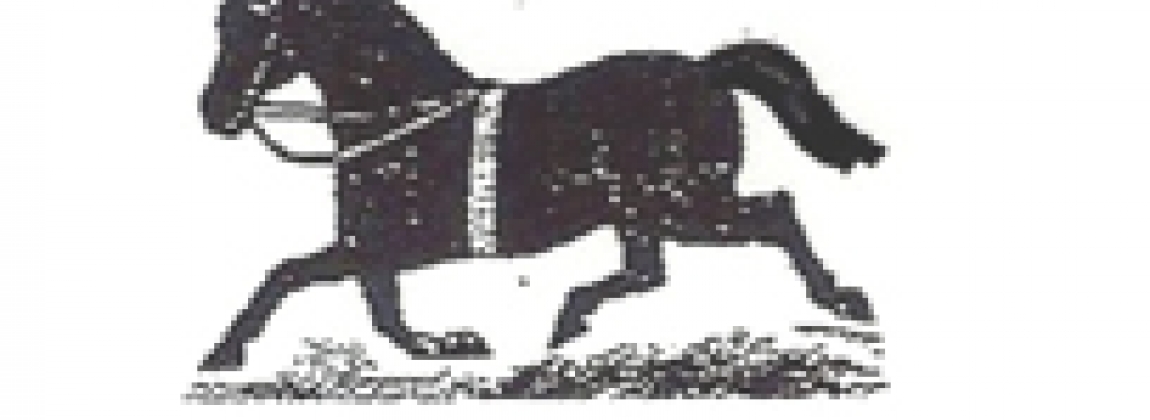 logo paard6
