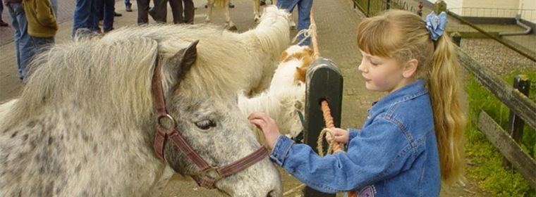 Banner Marktvereniging Homepage